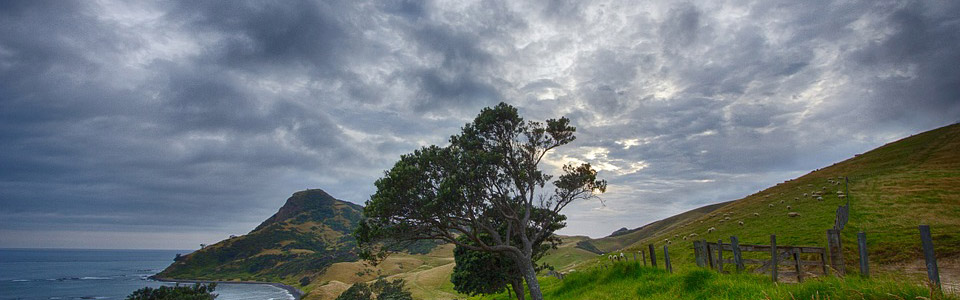 沈阳厂家直销金属不锈钢雕刻机报价
